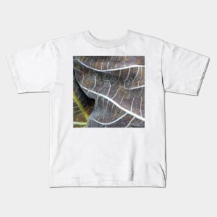 Withered Fig Leaves Autumn Fall texture macro 1 Kids T-Shirt